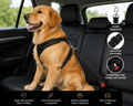Cinturón de Seguridad para Perros | Viajes Más Seguros
